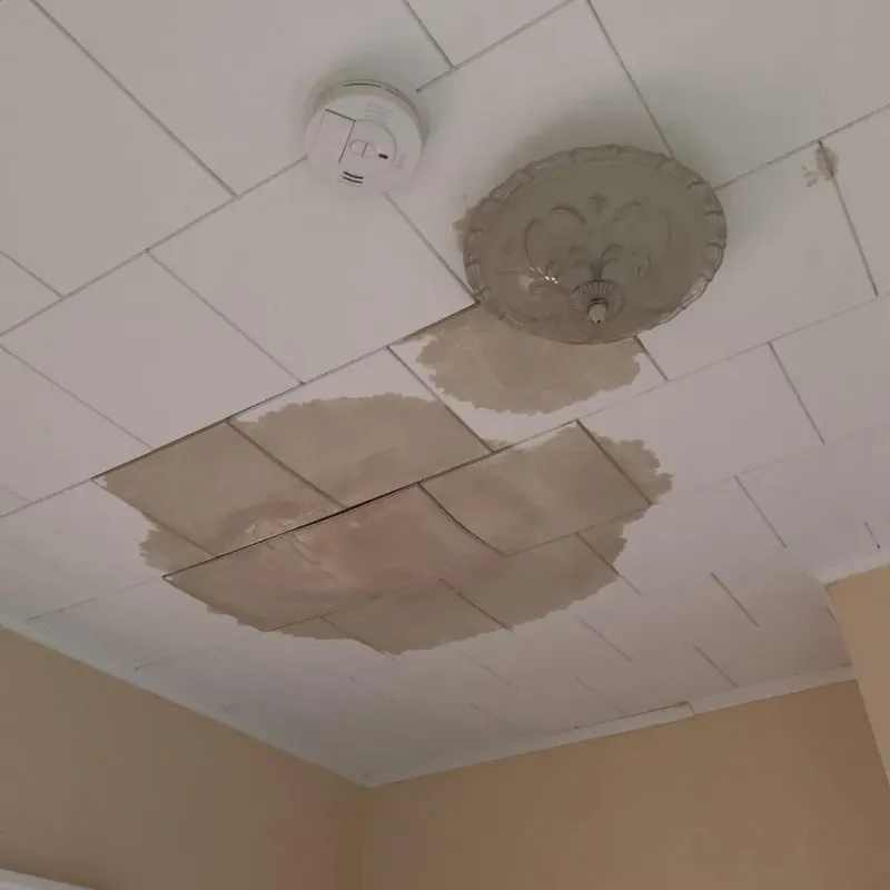 Ceiling Water Damage Repair in Eddyville, IA