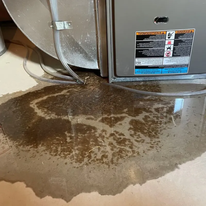 Pipe Burst and Leak Restoration in Eddyville, IA