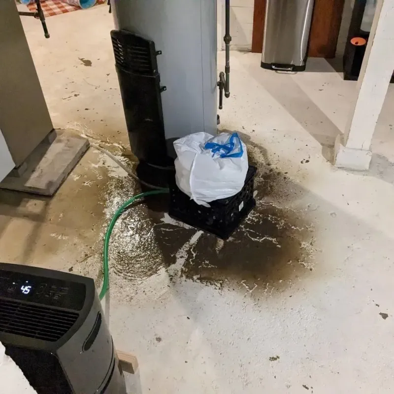 Sewage Backup Cleanup Service in Eddyville, IA